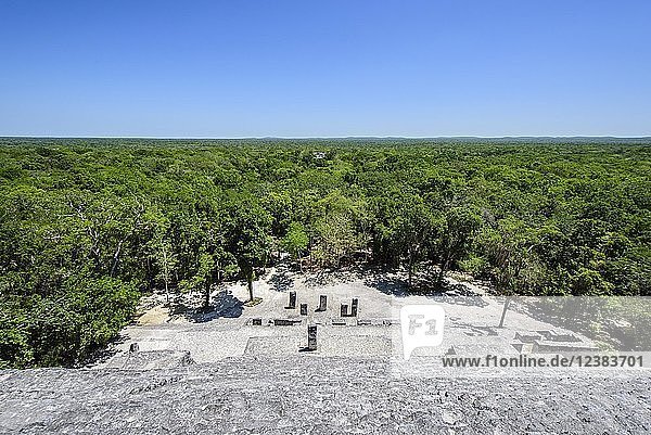 Stelen in der Maya-Stadt Calakmul  Biosphärenreservat Calakmul  Campeche  Mexiko  Mittelamerika