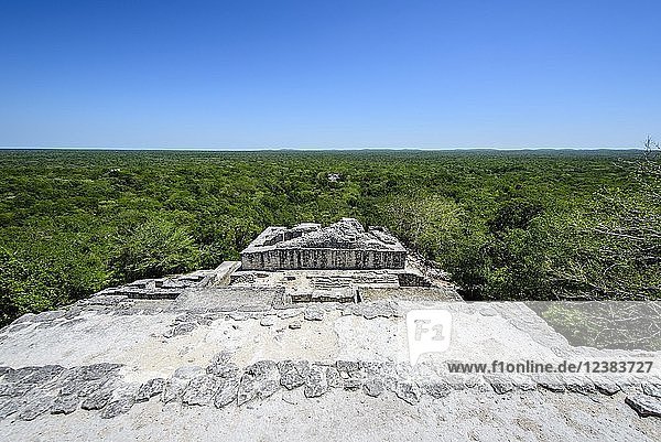 Maya-Stadt Calakmul  Biosphärenreservat Calakmul  Campeche  Mexiko  Mittelamerika