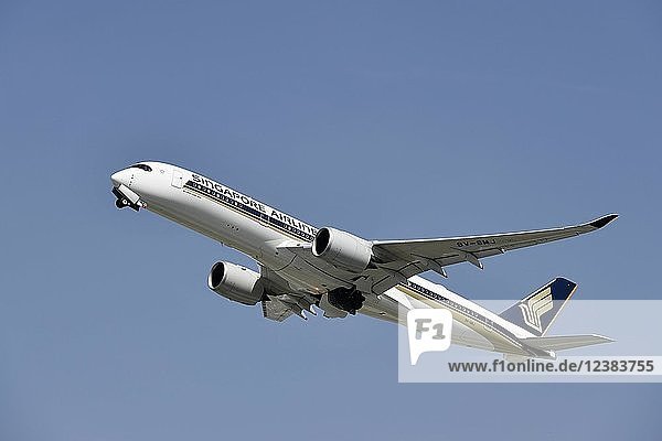 Singapore Airlines  Airbus  A350-900  Abflug vor blauem Himmel  Flughafen München  Oberbayern  Bayern  Deutschland  Europa