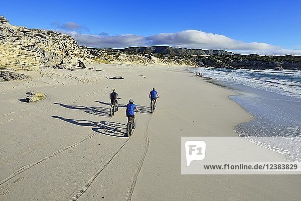 Mountainbiker mit Fatbikes am Sandstrand  Fahrradtour am Die Plaat Beach  Naturschutzgebiet  De Kelders  Gansbaai  Westkap  Südafrika  Afrika