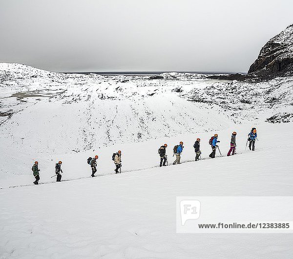 Wandergruppe im Schneefeld am Skaftafelljökull-Gletscher  Vatnajokull-Nationalpark  Südisland  Island  Europa