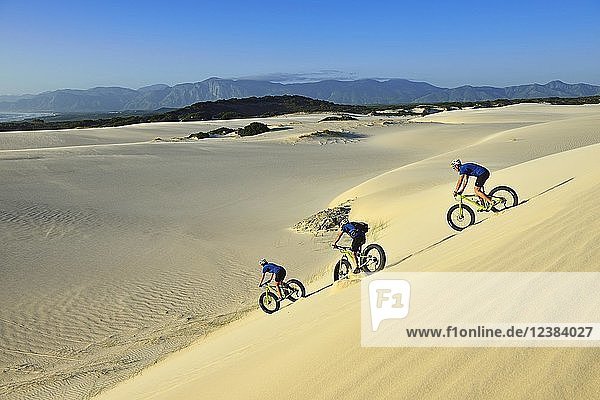 Mountainbiker mit Fatbikes fahren Sanddünen hinunter  Radfahren  Plaat Beach  Naturreservat  De Kelders  Gansbaai  Westkap  Südafrika  Afrika