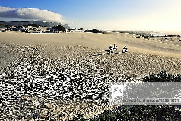 Mountainbiking mit Fatbikes auf Sanddünen  Radfahren  Naturschutzgebiet  De Kelders  Gansbaai  Westkap  Südafrika  Afrika