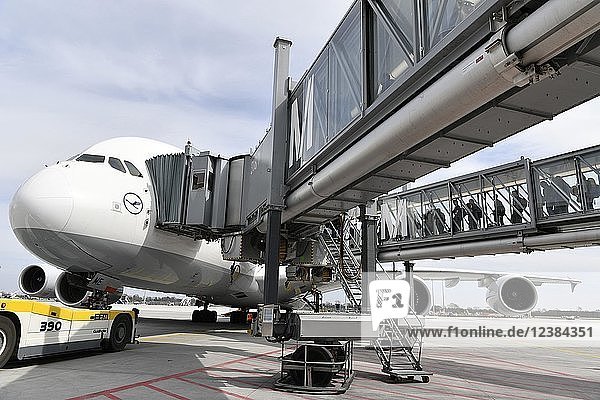 Lufthansa  Airbus  A380-800  mit angedockten Fluggastbrücken  Terminal 2  Flughafen München  Oberbayern  Bayern  Deutschland  Europa