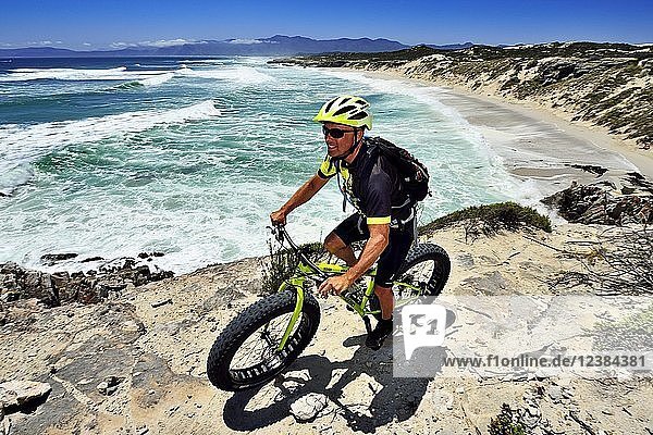 Mountainbiker mit Fatbike auf Klippe  Radtour am Die Plaat Beach  Naturschutzgebiet  De Kelders  Gansbaai  Westkap  Südafrika  Afrika