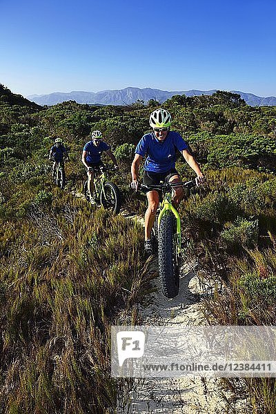 Mountainbiking auf Fatbikes durch Gebüsch  Radfahren  Naturreservat  De Kelders  Gansbaai  Westkap  Südafrika  Afrika