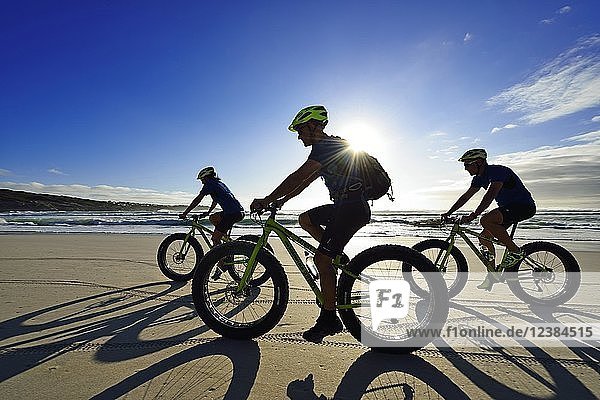 Mountainbiker mit Fatbikes am Sandstrand  langer Schatten  Fahrradtour am Die Plaat Beach  Naturschutzgebiet  De Kelders  Gansbaai  Westkap  Südafrika  Afrika