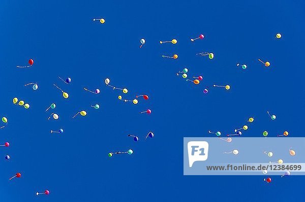 Bunte Luftballons steigen zum Himmel Bad Homburg vor der Höhe Hessen Deutschland Europa