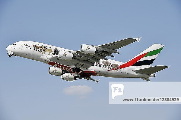 Emirates  Airbus  A380-800  Sonderedition  United for Wildlife  Abflug in der Luft  Flughafen München  Oberbayern  Bayern  Deutschland  Europa