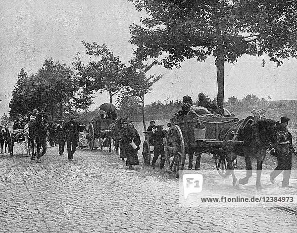 Belgian people evacuating in front of the German invasion  1914  Belgium  Europe