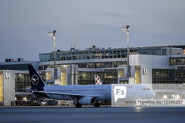 Lufthansa Airbus A321-100 New Livery in der Dämmerung rollend vor Terminal 2 Flughafen München Oberbayern Bayern Deutschland Europa