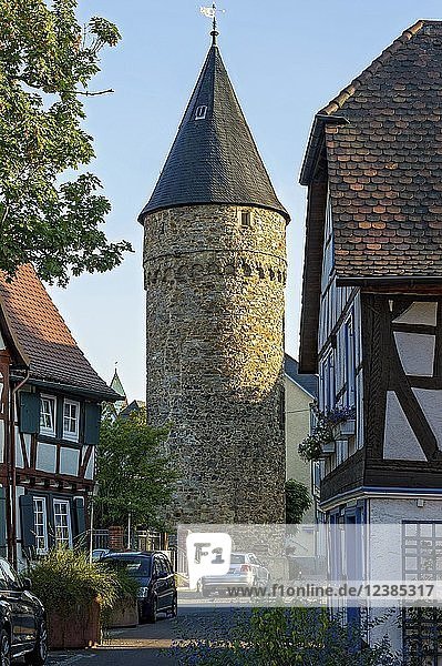 Romanesque Town Hall Tower  Old Town  Bad Homburg vor der Höhe  Hesse  Germany  Europe