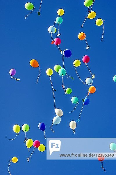 Bunte Luftballons steigen zum Himmel Bad Homburg vor der Höhe Hessen Deutschland Europa