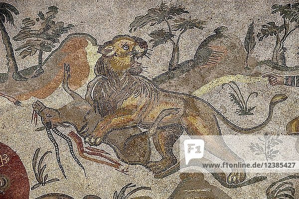 Bodenmosaik eines Löwen der eine Antilope reißt Korridor der großen Jagd Villa Romana del Casale römische Villa aus dem 4. Jahrhundert n. Chr. Piazza Armerina Provinz Enna Sizilien Italien Europa