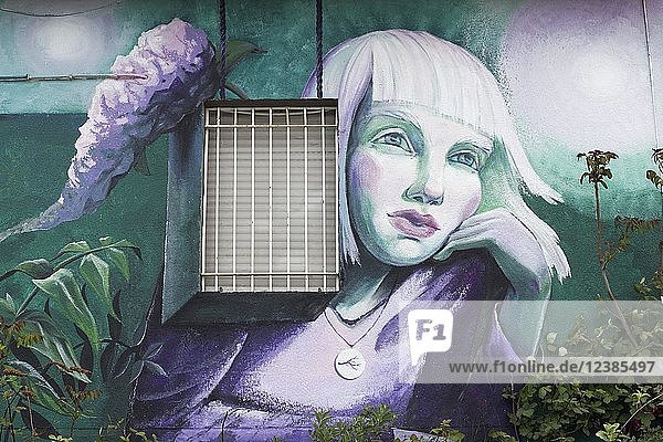Thoughtful Woman  mural by Marya Kudasheva  Streetart  Rhine Side Gallery Uerdingen  Krefeld  NRW  Germany  Europe