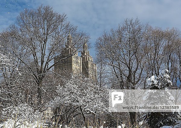 San-Remo-Gebäude durch die verschneiten Bäume des Central Park im Winter gesehen  New York City  USA  Nordamerika