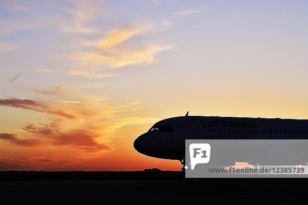 Lufthansa Airbus A319-100 rollend von Startbahn Nord zum Terminal 2 Sonnenuntergang Flughafen München Oberbayern Bayern Deutschland Europa