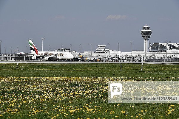 Emirates  Airbus  A380-800  Sonderversion  United for Wildlife  rollend auf dem Taxiway  vor Terminal 1 und Tower  Flughafen München  Oberbayern  Bayern  Deutschland  Europa