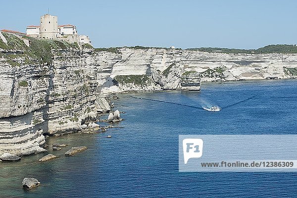 Kalksteinküste von Bonifacio  Korsika  Frankreich  Europa