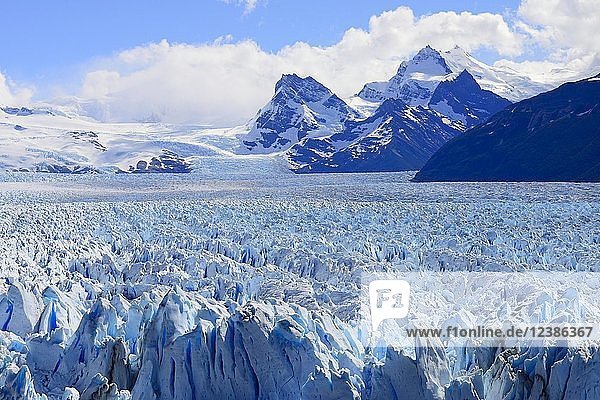 Eisfeld  Perito-Moreno-Gletscher  Parque Nacional Los Glaciares  El Calafate  Provinz Santa Cruz  Argentinien  Südamerika