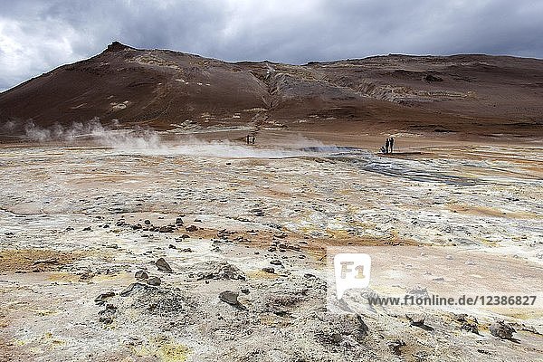 Fumarolen  Solfataren  Solfatarenfeld am Vulkan Námafjall  Hochtemperaturgebiet Námaskarð oder Namskard  Námafjall  Nordisland  Island  Europa