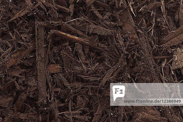Baumrinde und Hackschnitzel Mulch für den Gartenbau Studioaufnahme Hintergrundbild