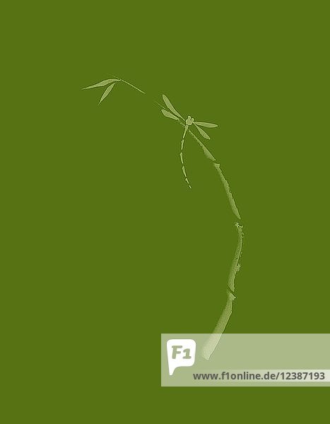 Künstlerisches Design in japanischer Zen-Tuschezeichnung mit Bambusstiel und jungen Blättern Illustration