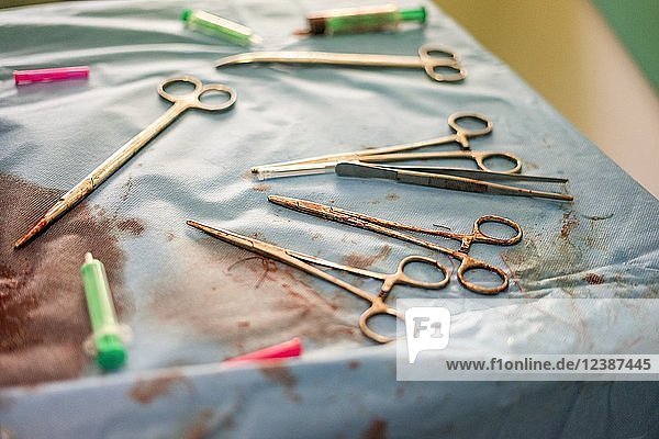 Silver gynecologist tools used during childbirth in the hospital
