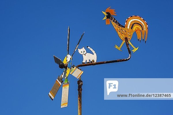 Windmühle  mit Wetterhahn und Katzenfigur  Oberbayern  Bayern  Deutschland  Europa