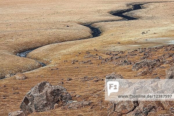 Wasserlauf in vulkanischer Landschaft am Vulkan Námafjall  Hochtemperaturgebiet Námaskarð oder Namskard hi Nordisland  Island  Europa
