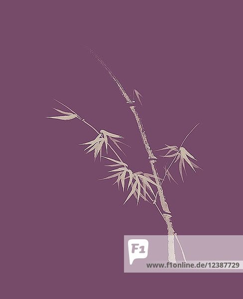 Künstlerisches Design in japanischer Zen-Tuschezeichnung mit Bambusstiel und jungen Blättern Illustration
