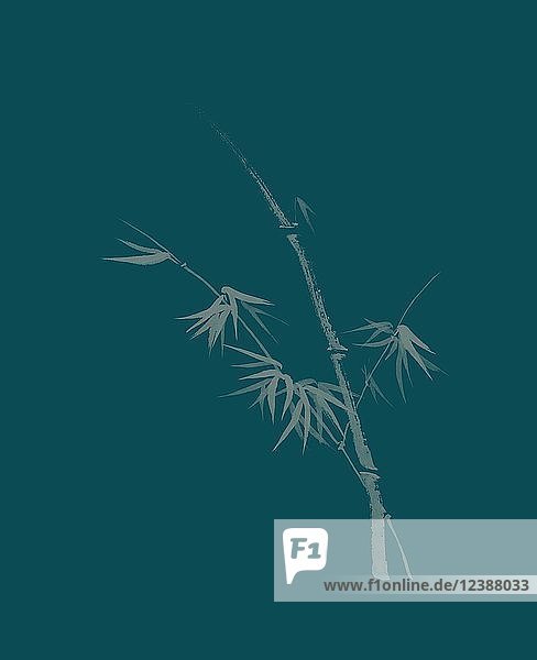 Künstlerisches Design in japanischer Zen-Tuschezeichnung mit Bambusstiel und jungen Blättern Illustration