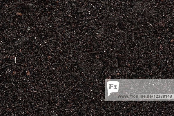Organische Blumenerdenmischung angereichert mit Kompost Studioaufnahme Hintergrundbild