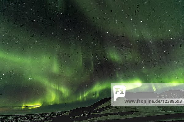 Nordlicht (Aurora borealis)  bei Mývatn  Norðurland Eystra  Nordisland  Island  Europa