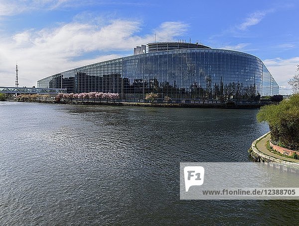 Europäisches Parlament in Straßburg  Elsass  Frankreich  Europa