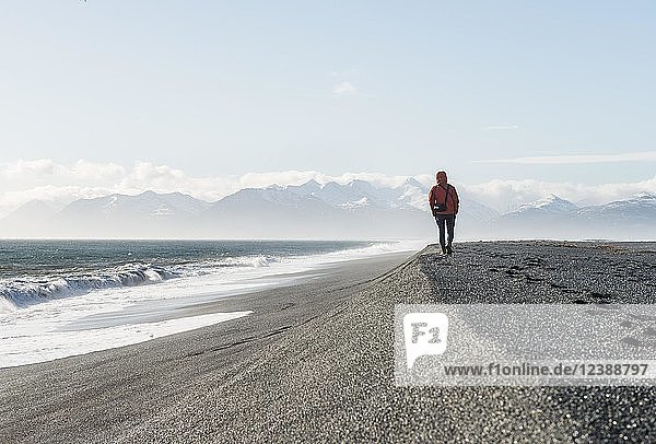 Man walking by the sea in the black sandy beach  lava beach  snow-capped mountains  Hvalnes Nature Reserve  South Iceland  Iceland  Europe
