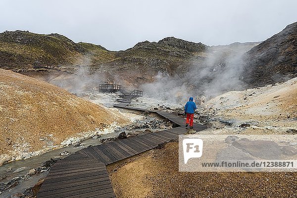 Hikers  Steaming Soil  Seltún Geothermal Area  Krýsuvík Volcano System  Reykjanesfólkvangur National reserve  Reykjanes  Sudurnes  Iceland  Europe