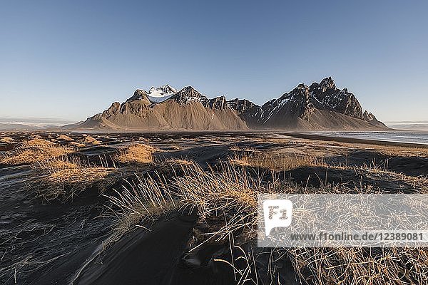 Lava beach black sand beach overgrown dunes mountains Klifatindur Eystrahorn and Kambhorn headland Stokksnes massif Klifatindur Austurland East Iceland Iceland Europe