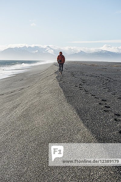 Mann spaziert am Meer  schwarzer Sandstrand  Lavastrand  schneebedeckte Berge  Hvalnes Naturreservat  Südisland  Island  Europa