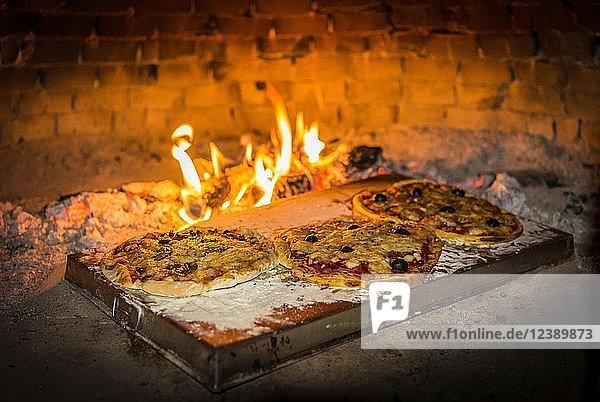 Pizza wird in einem Pizzaofen gebacken  Steinofen  Italien  Europa