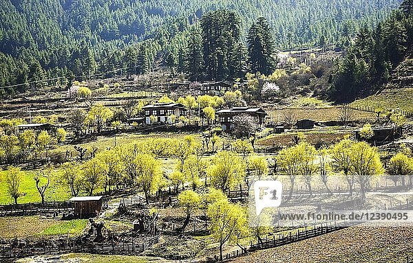Landschaft  Bauernhäuser mit landwirtschaftlichen Feldern  Bumthang-Distrikt  Himalaya-Region  Königreich Bhutan