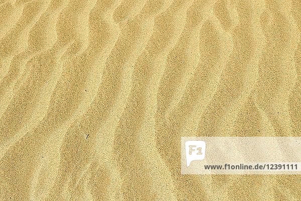 Hintergrundbild  Wellenmuster im Sand  Namib-Wüste  Namibia  Afrika