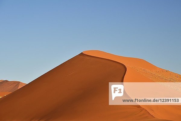 Sanddüne im Abendlicht  Sossusvlei  Namib Naukluft National Park  Namibia  Afrika