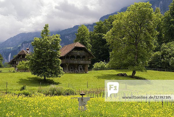 Scarecrow in a meadow in front of farmbuildings in the open air museum Ballenberg near Brienz in Switzerland.