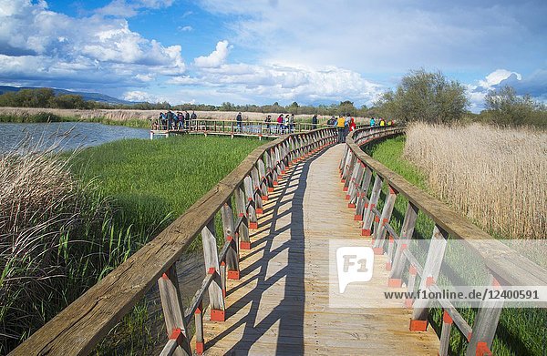 Wooden footbridge. Tablas de Daimiel National Park  Ciudad Real province  Castilla La Mancha  Spain.