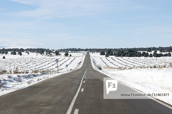 Road of Aragon with snow  Spain