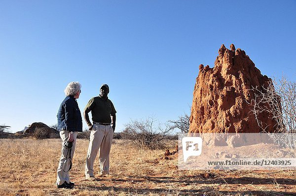Giant Thermites-hills and constructions in the desert of Shaba & Samburu National Parks.