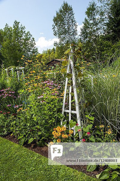 A white obelisk in a garden bed of perennial and annual plants  Nova Scotia  Canada.