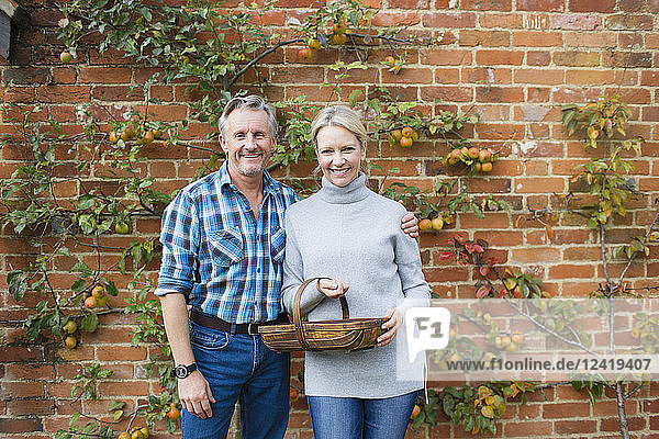 Portrait smiling mature couple harvesting apples in garden