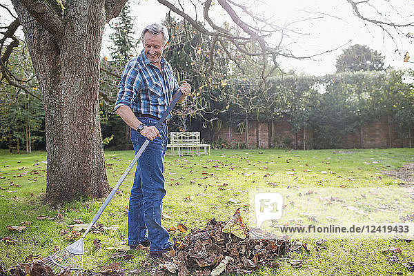 Senior man raking autumn leaves in backyard